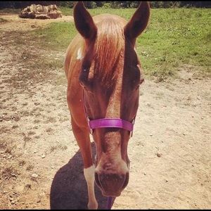 Meet your Posher, Kim